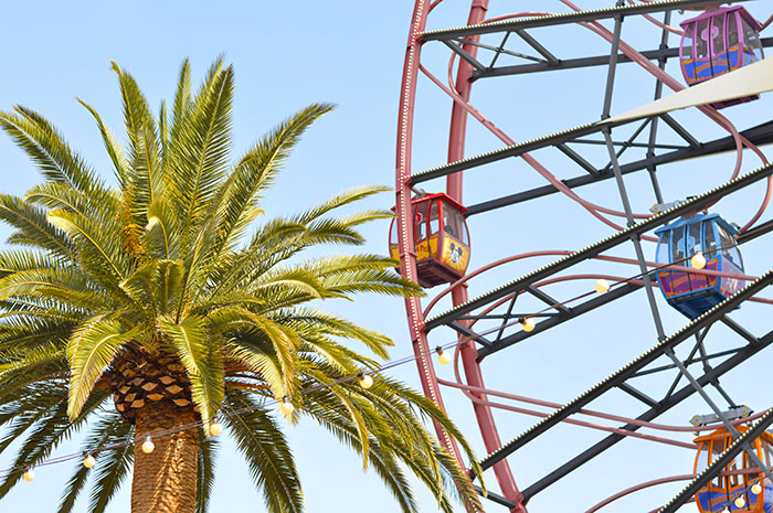 California Adventure Ferris Wheel // Nattie on the Road