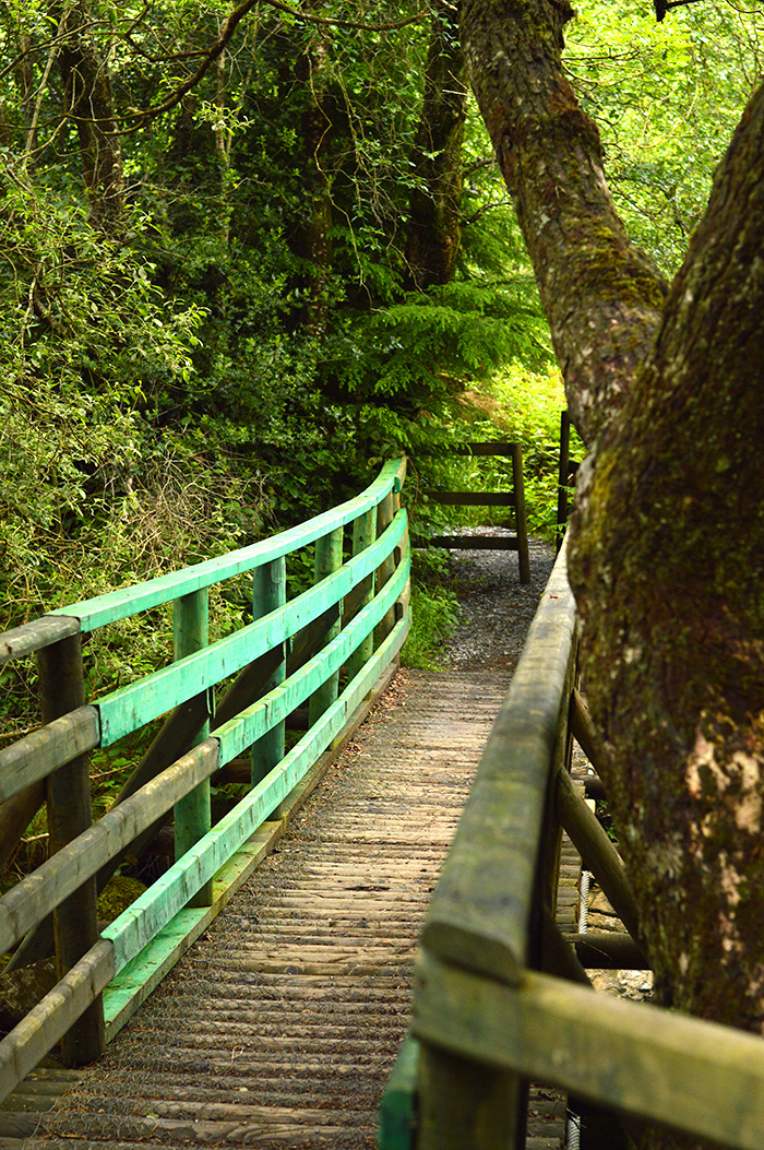 The Wicklow Way, Ireland // Nattie on the Road