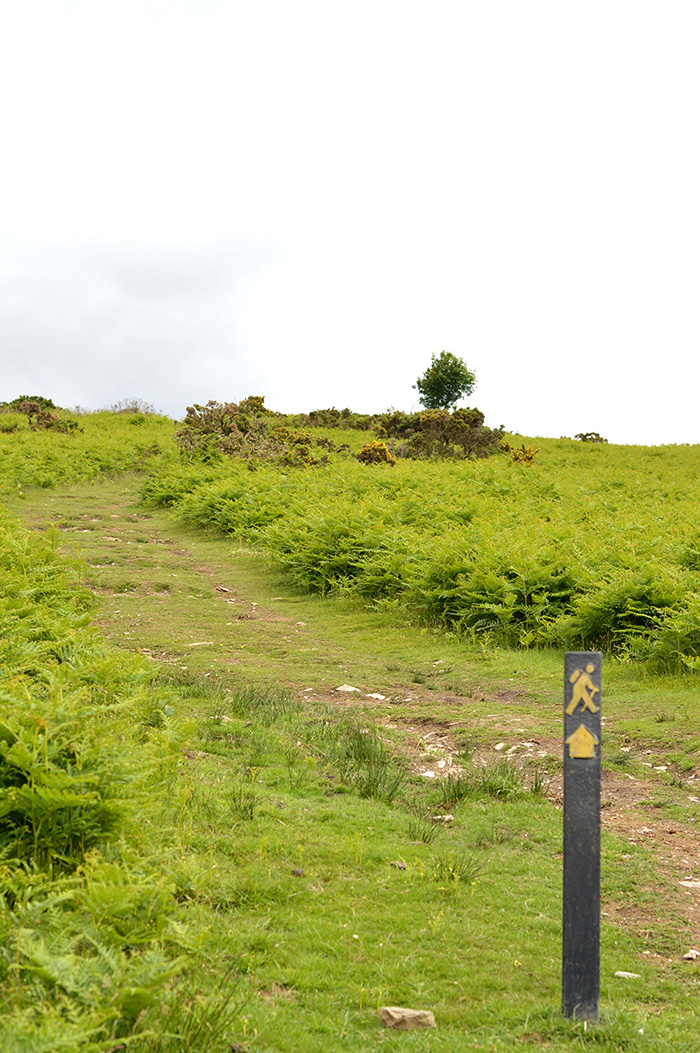 The Wicklow Way, Ireland // Nattie on the Road