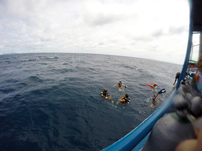 Koh Tao is the best place to learn to dive!