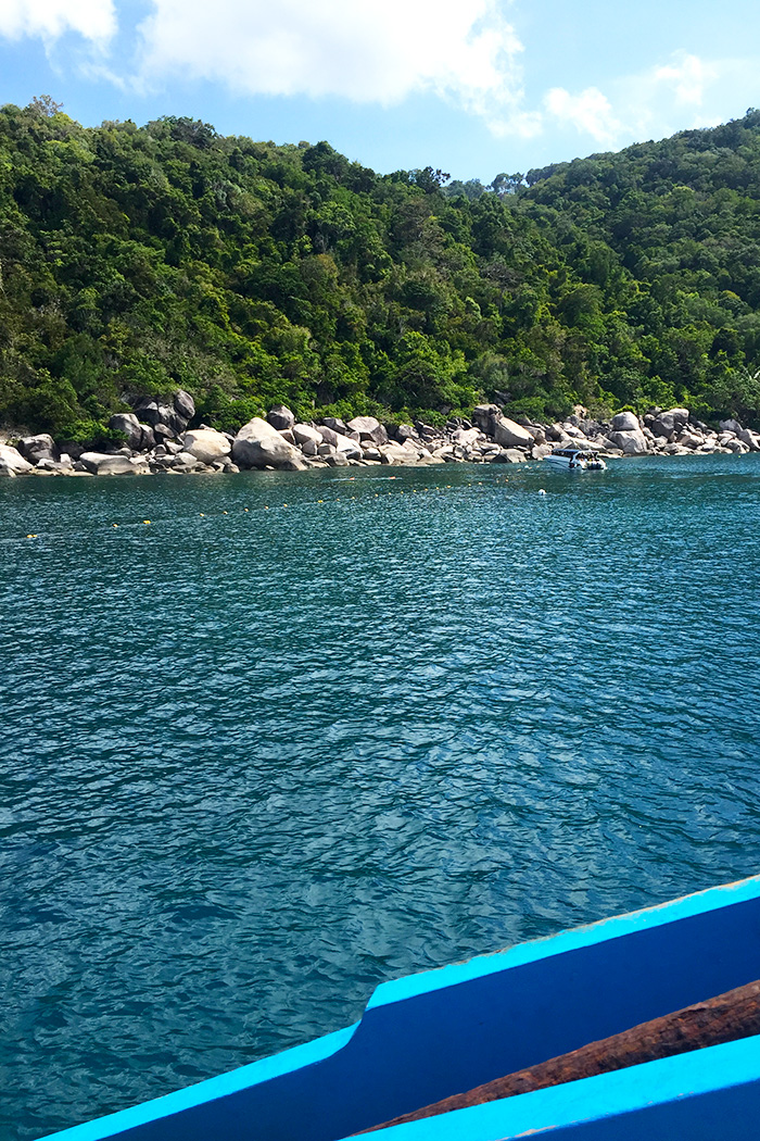 diving in Koh Tao