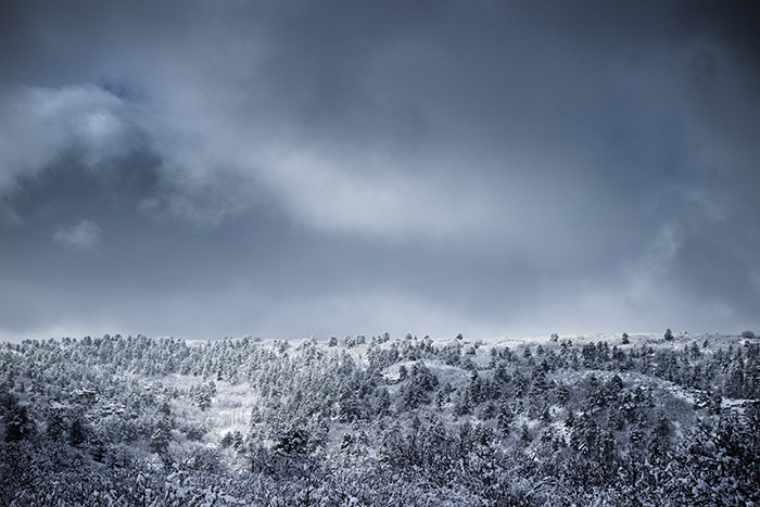 do all the snow sports in Colorado