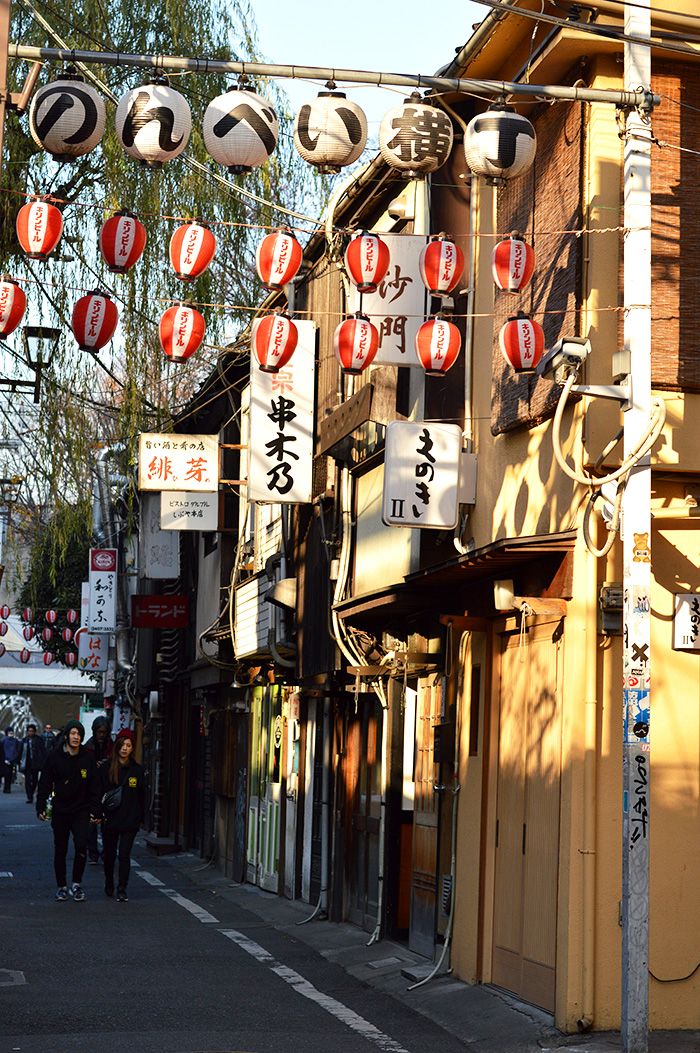 Alleys of Tokyo, Japan