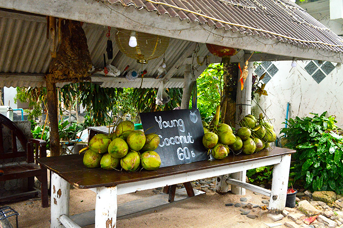 coconuts - Koh Tao Thailand