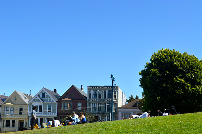 Park Views San Francisco