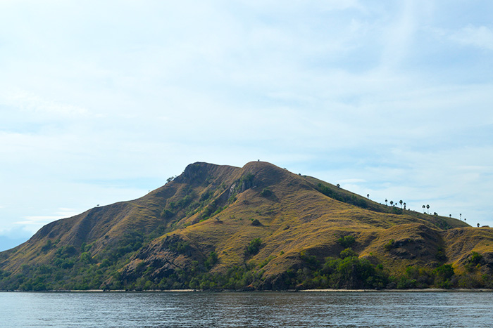 Island of Rinca, Indonesia