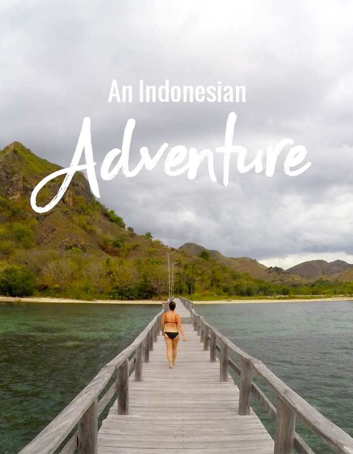 An Indonesian Adventure