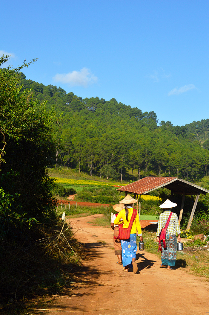 the morning commute in rural Myanmar