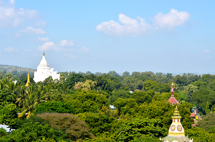 Pagodas in the Jungle