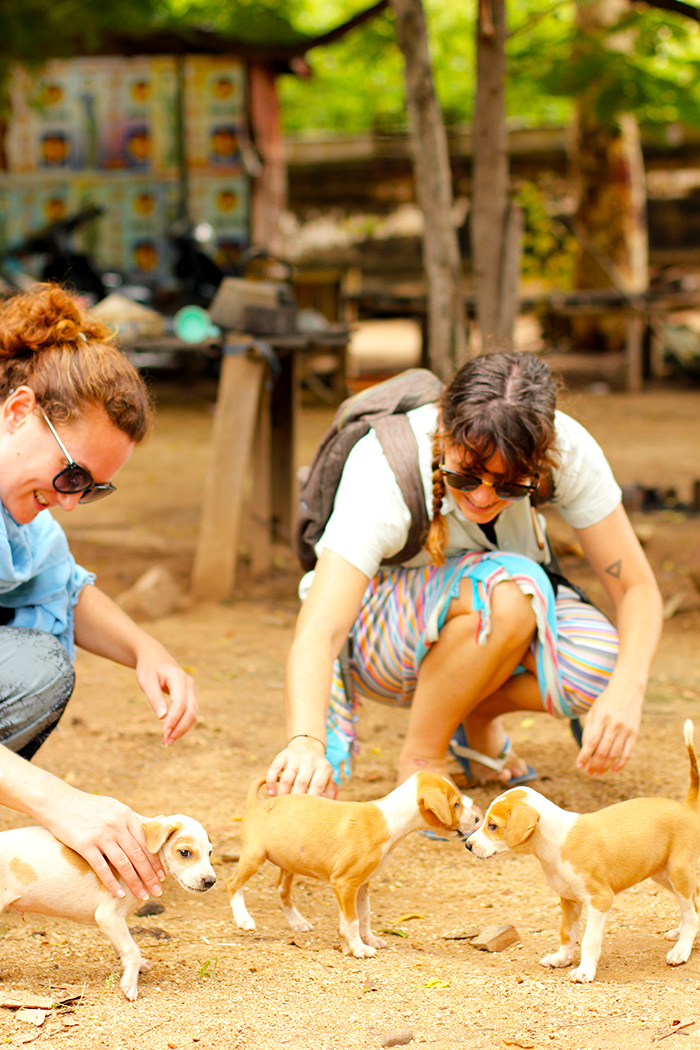 playing with puppies outside the temple