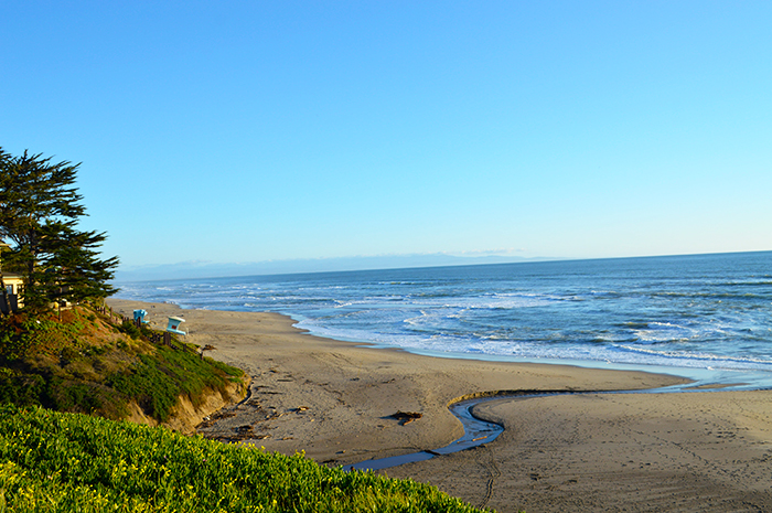 Manresa State Beach