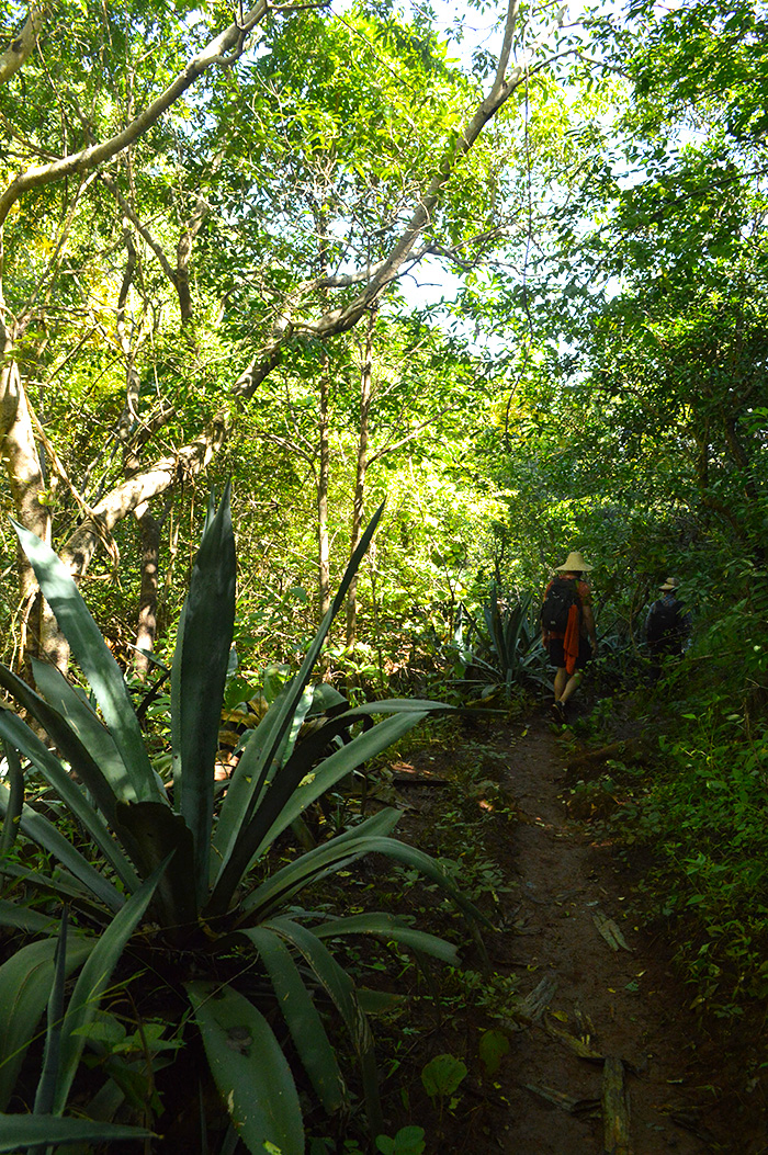 Trekking Myanmar