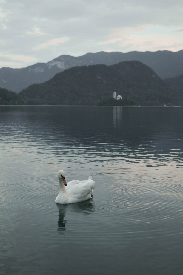 Lake Bled, Slovenia