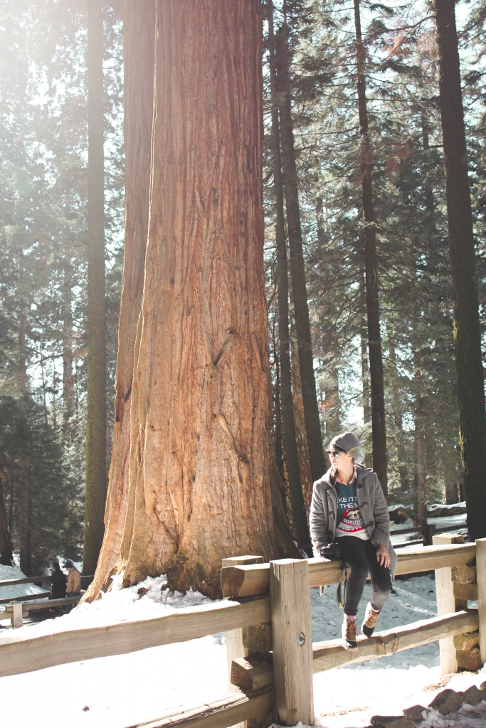 Sequoia Kings Canyon National Park