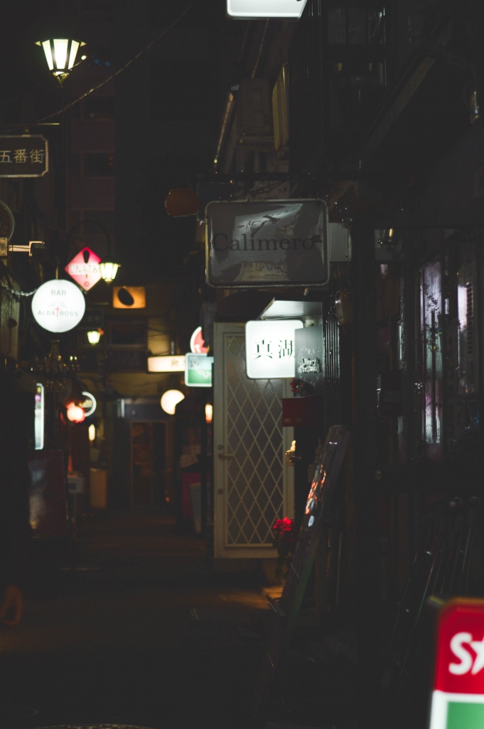 A Night Out in Golden Gai