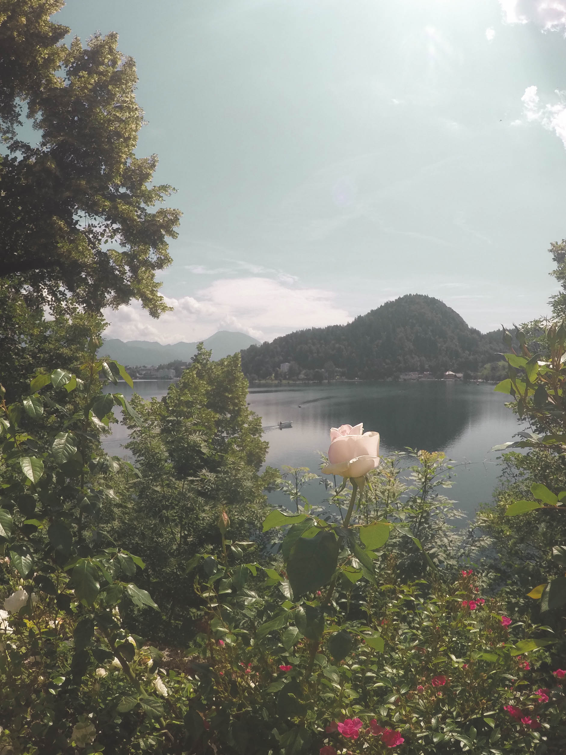 Lake Bled for you honeymoon