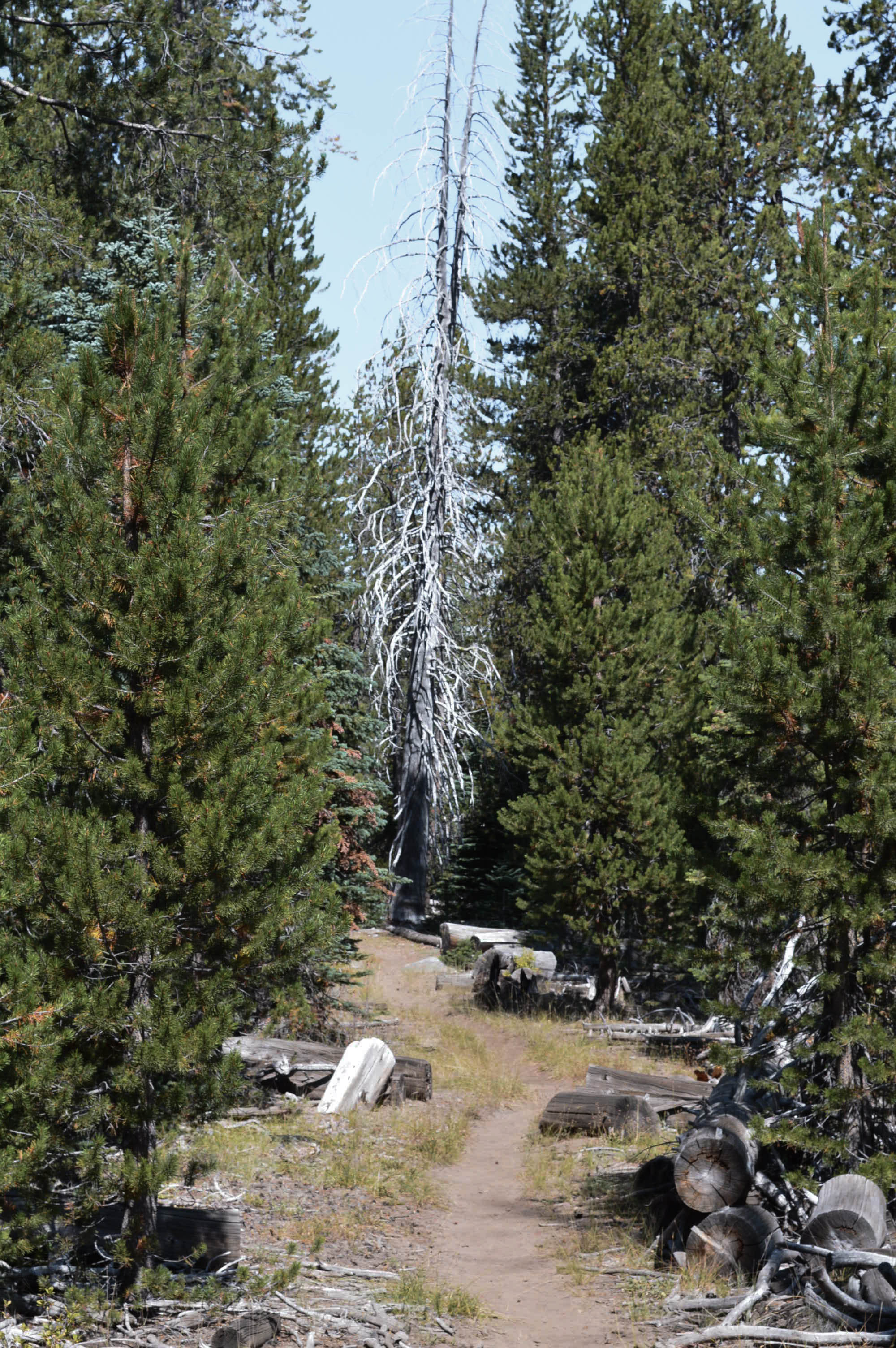 4 badass Yosemite hikes