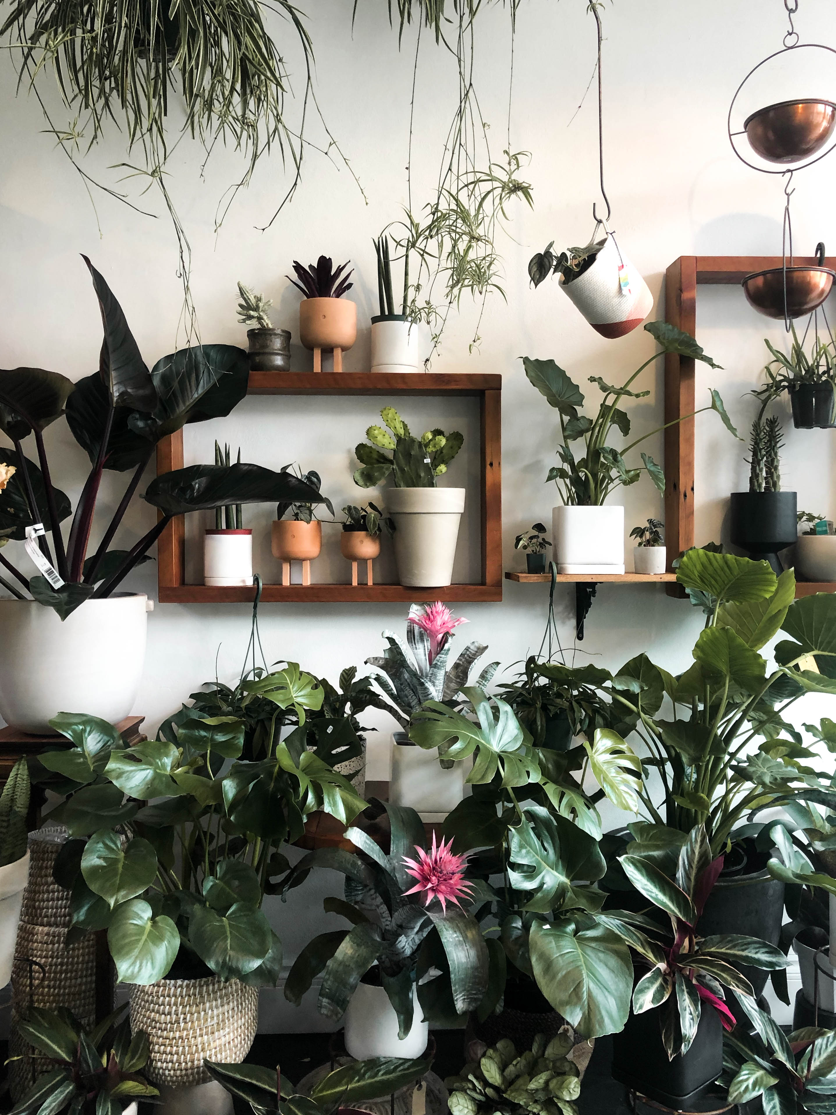 Plant shop in Portland