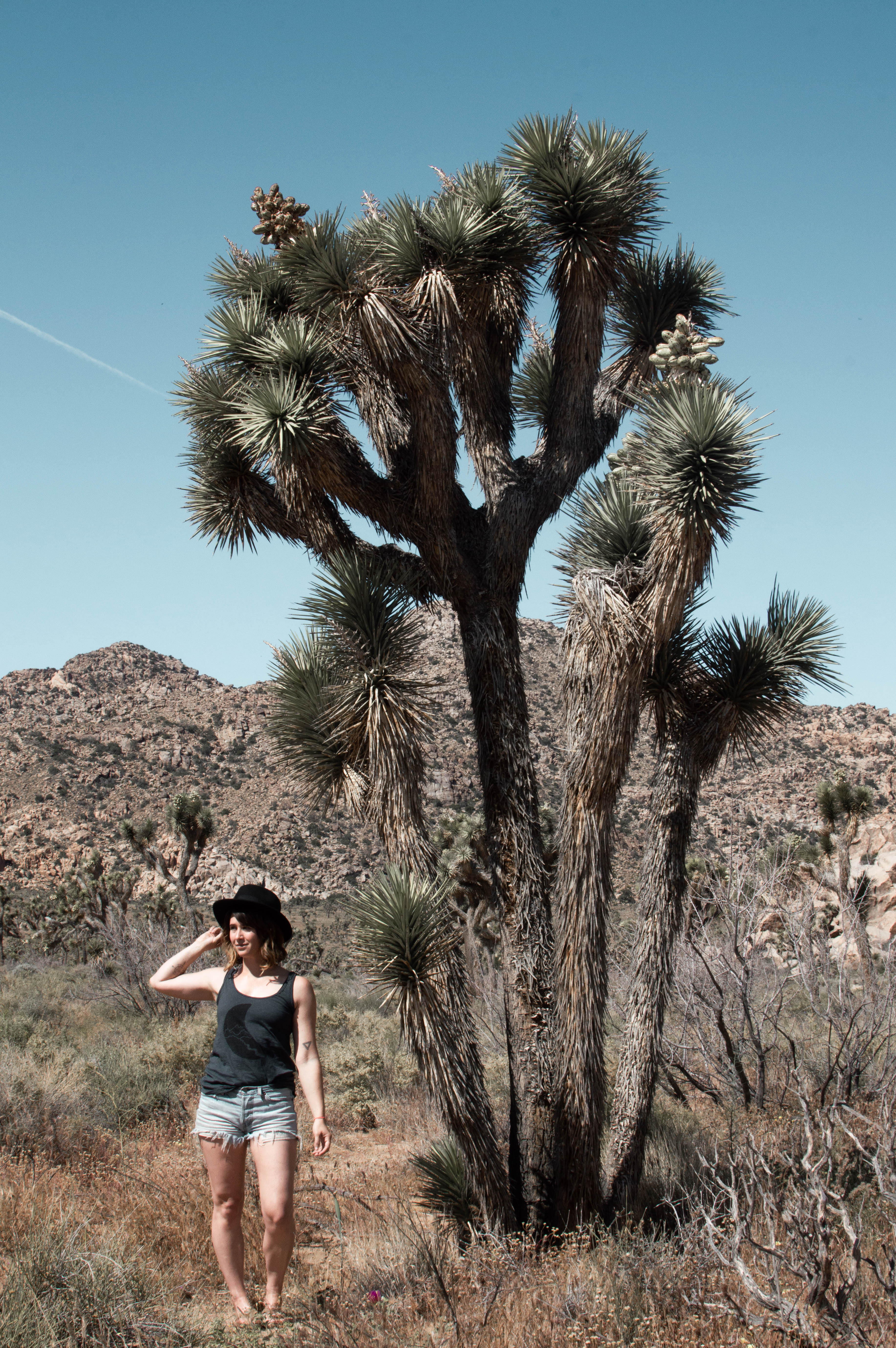 Hiking around Joshua Tree