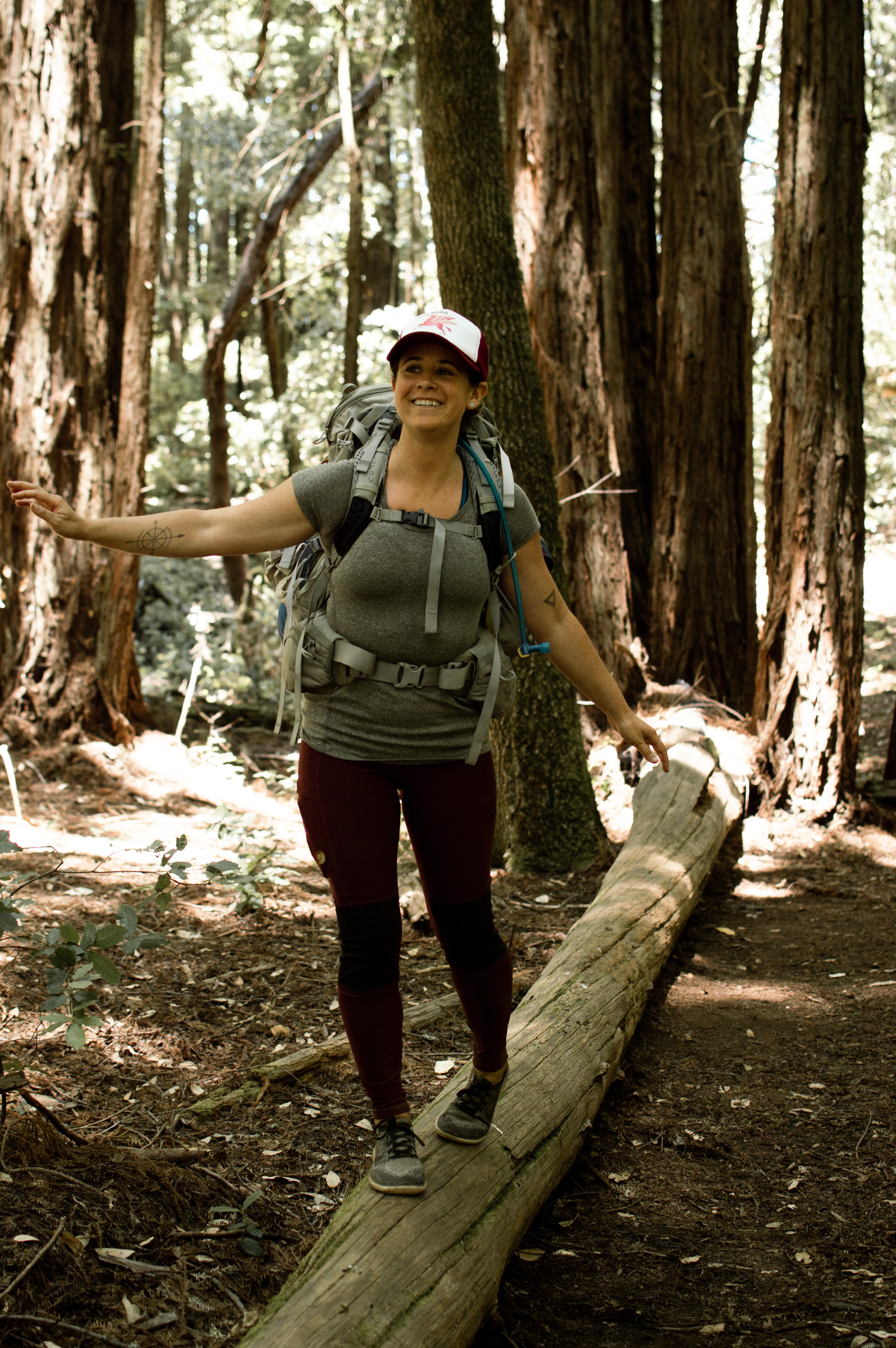 backpacking in the redwoods