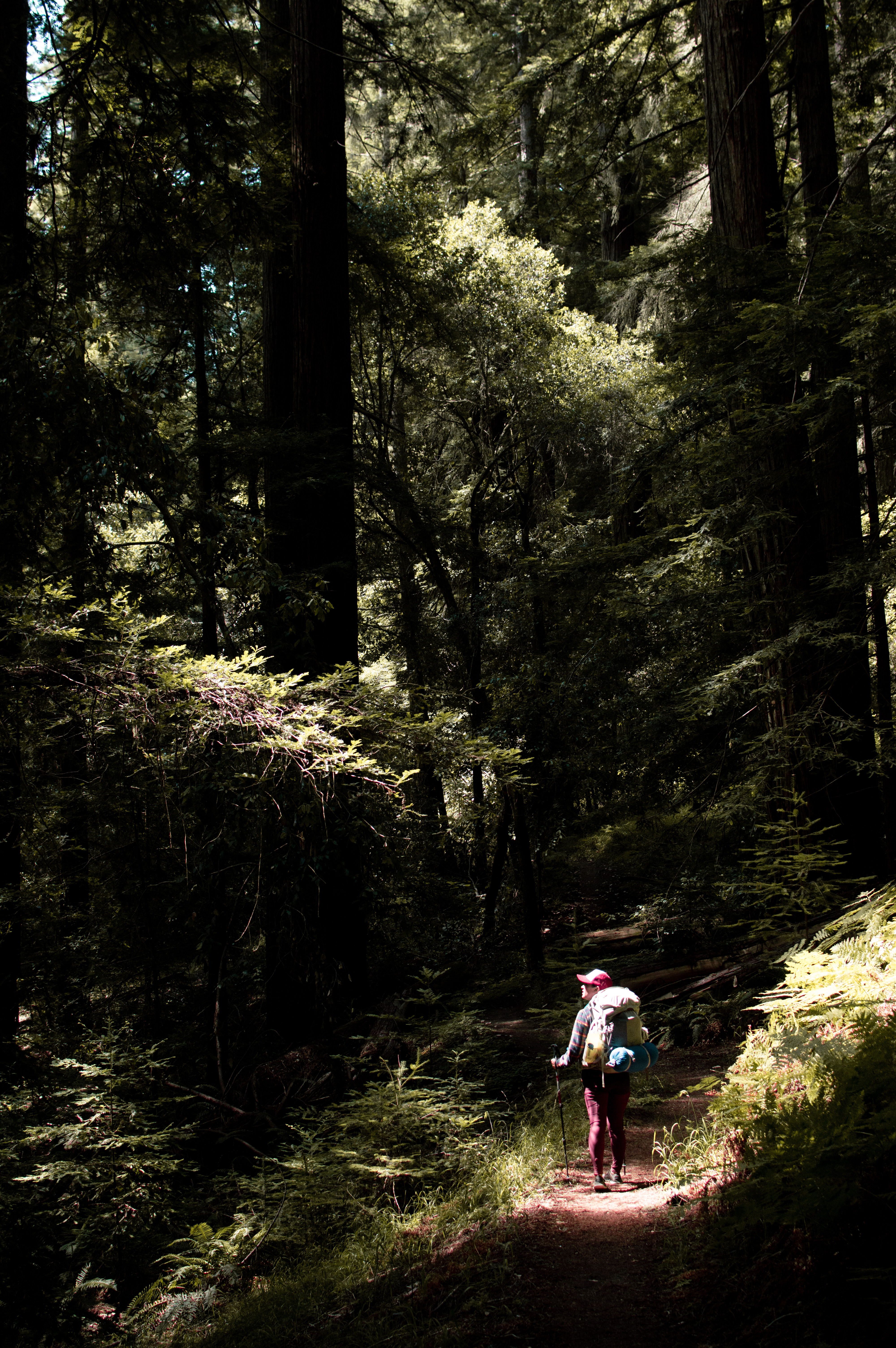 Hiking the Skyline to Sea Trail Nattie on the Road