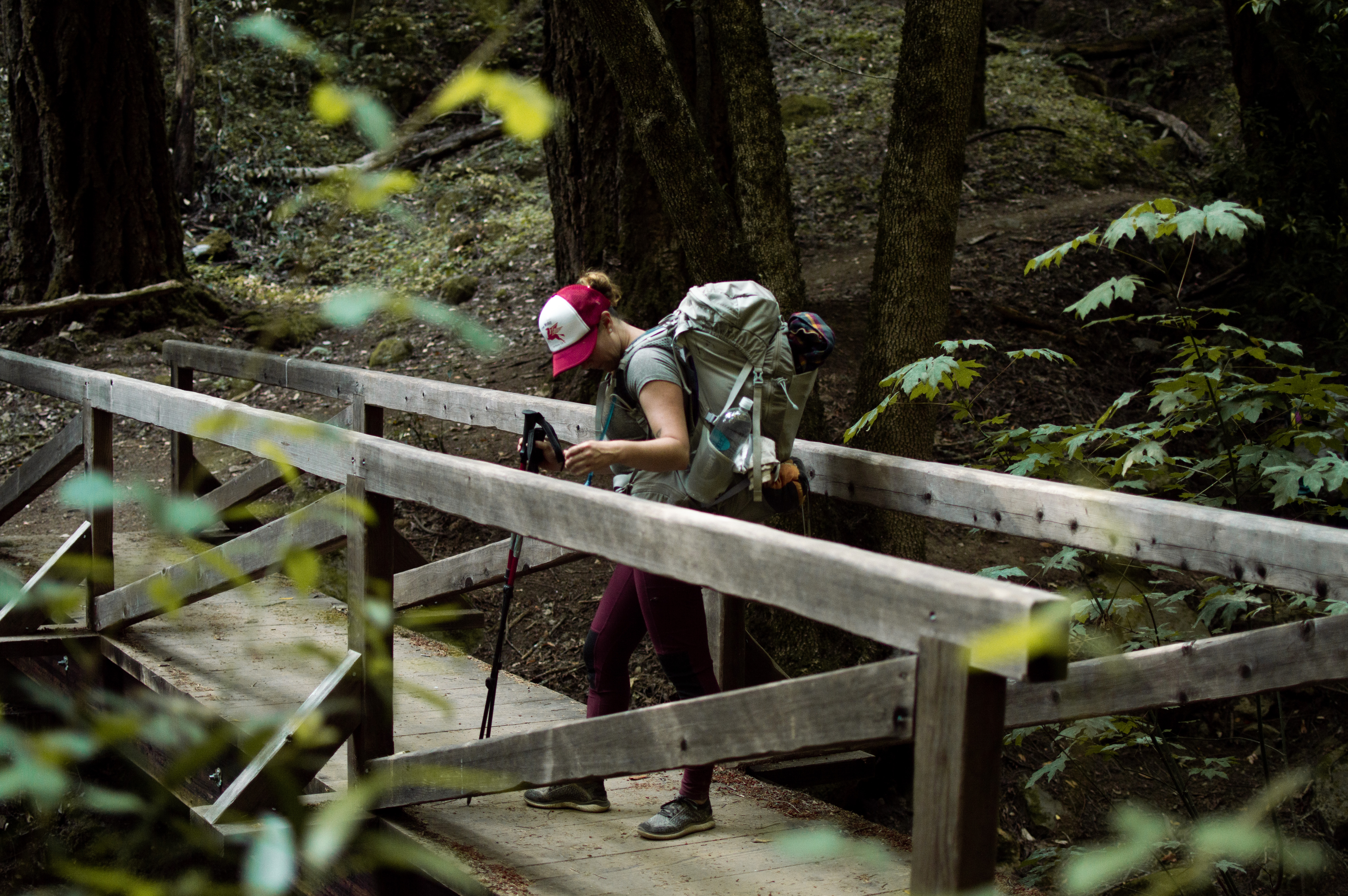 Hiking the Skyline to Sea Trail