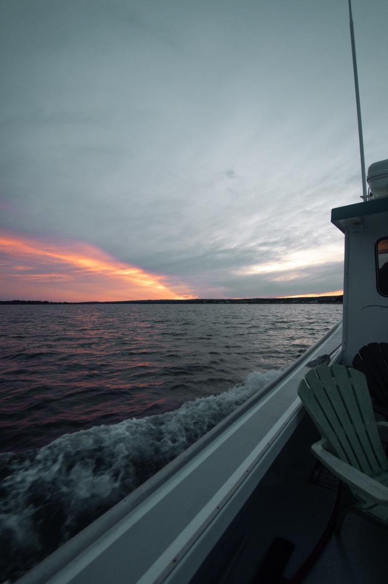 5 Outdoor Adventures to Have in Nova Scotia Nattie on the Road