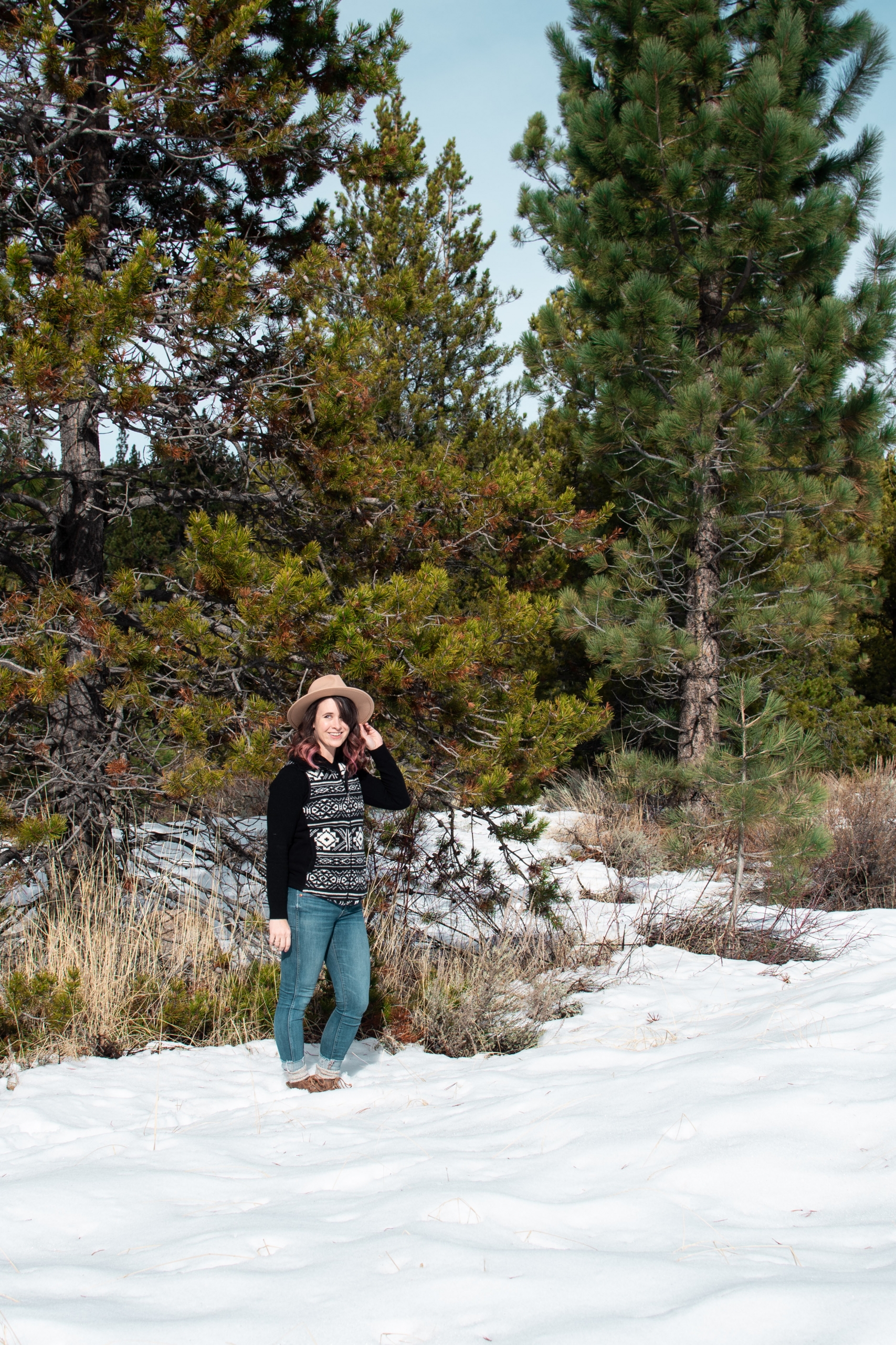 Get those forest vibes in South Lake Tahoe in Winter