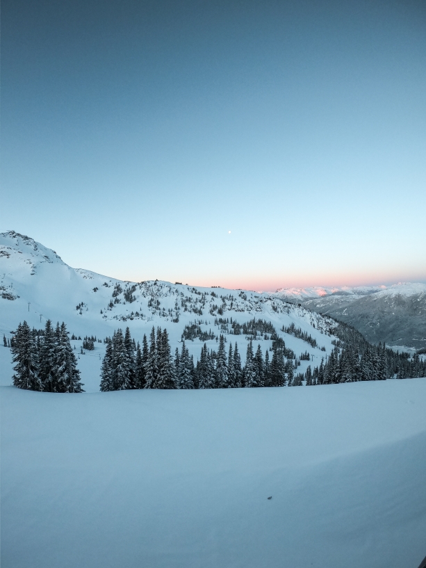 Fresh Tracks Snowboard Sesh