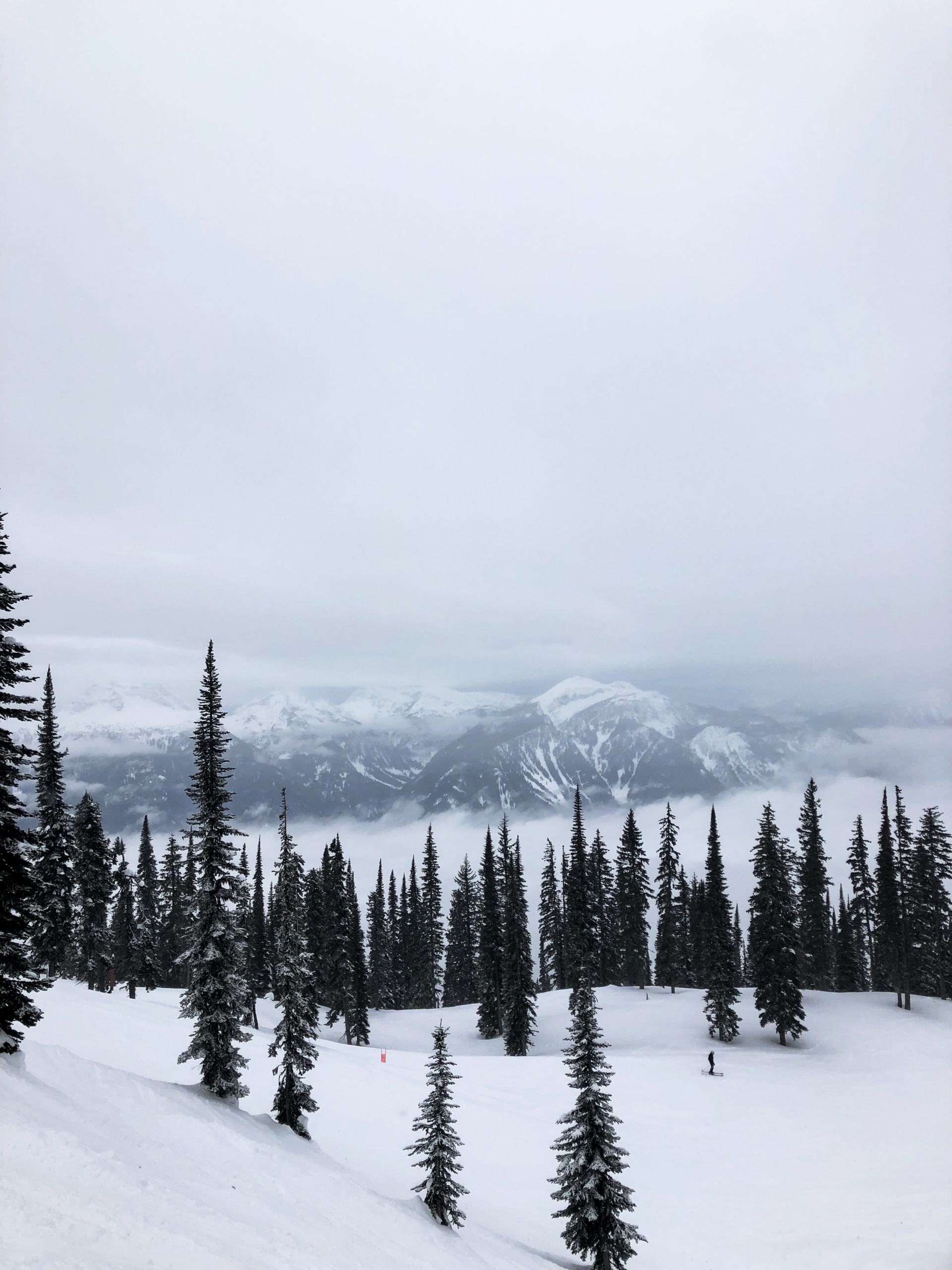 Revelstoke - winter road trip