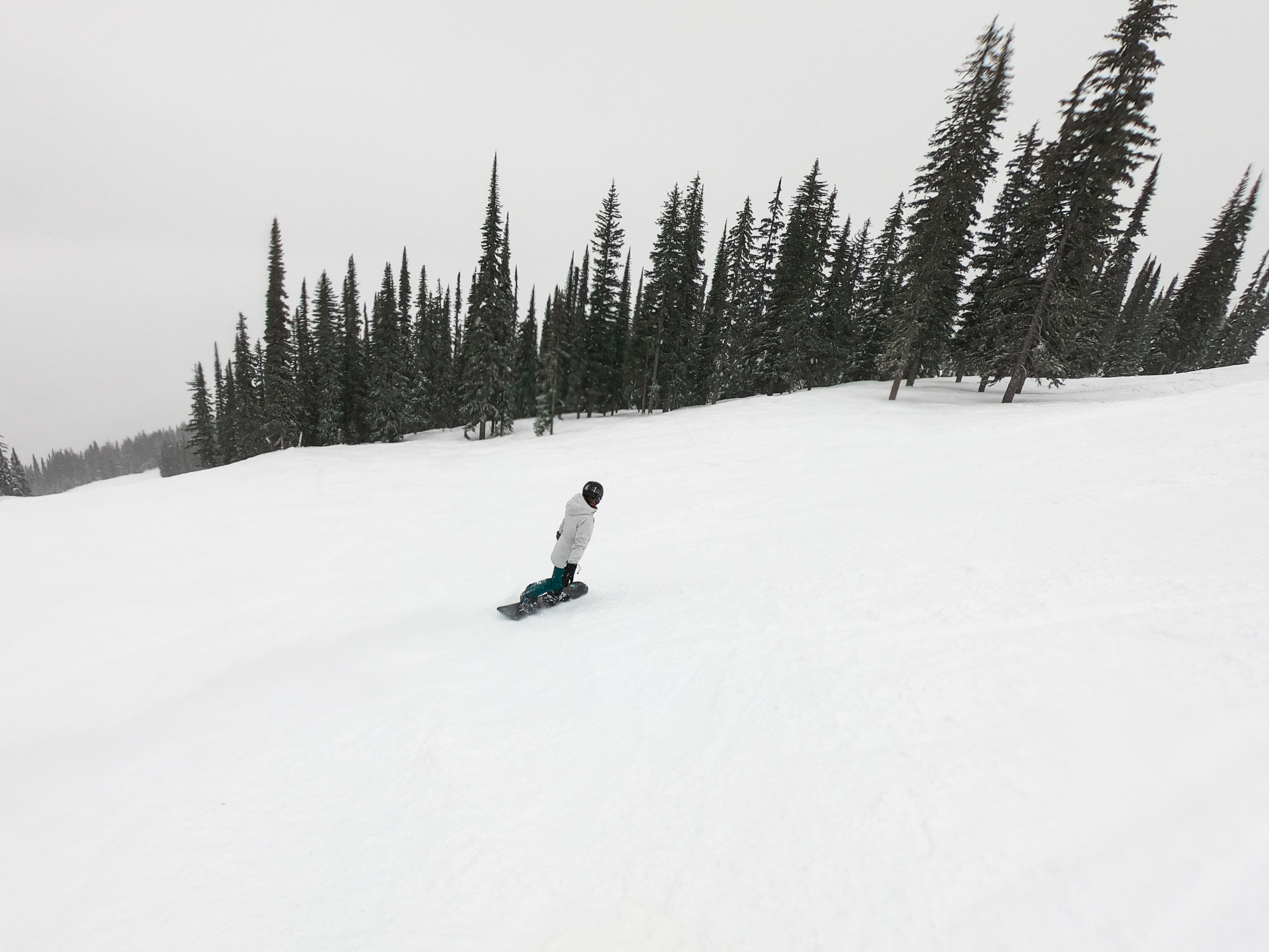 Revelstoke - winter road trip