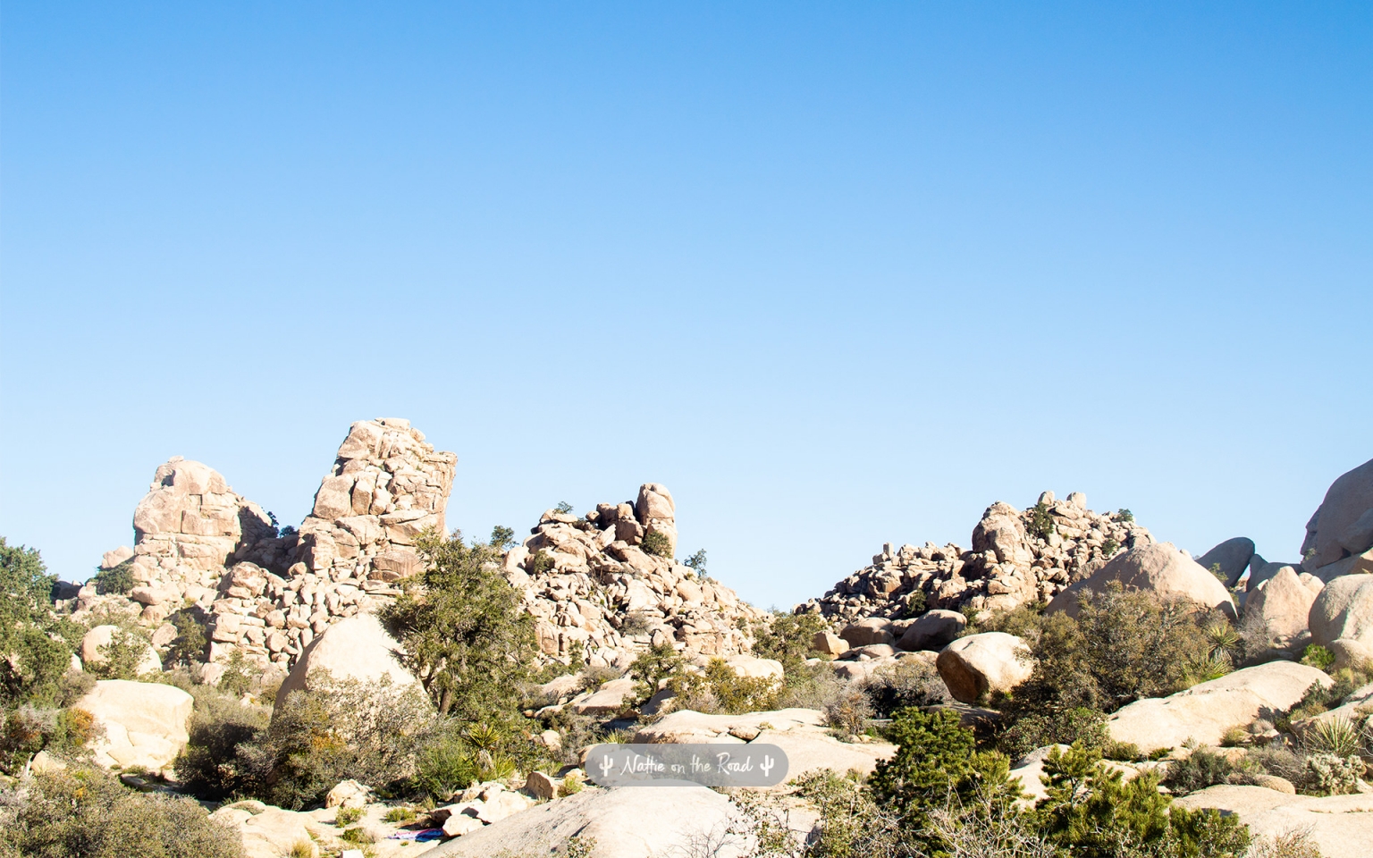 Good Desert Places Near Me