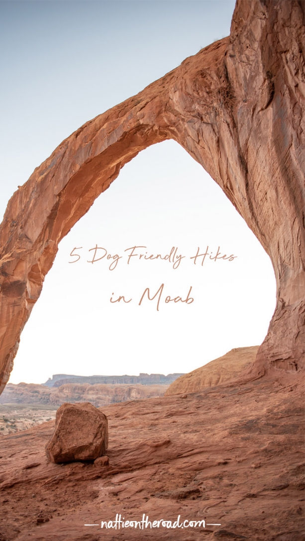 5 Dog Friendly Hikes in Moab Nattie on the Road