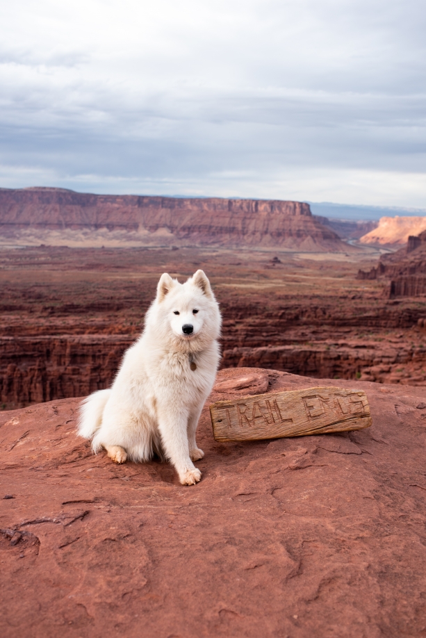 Dog Friendly Hikes in Moab - Fisher Towers