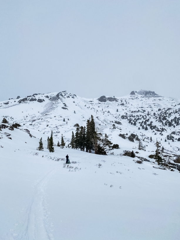 assessing risks in the backcountry